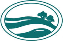 logo icon